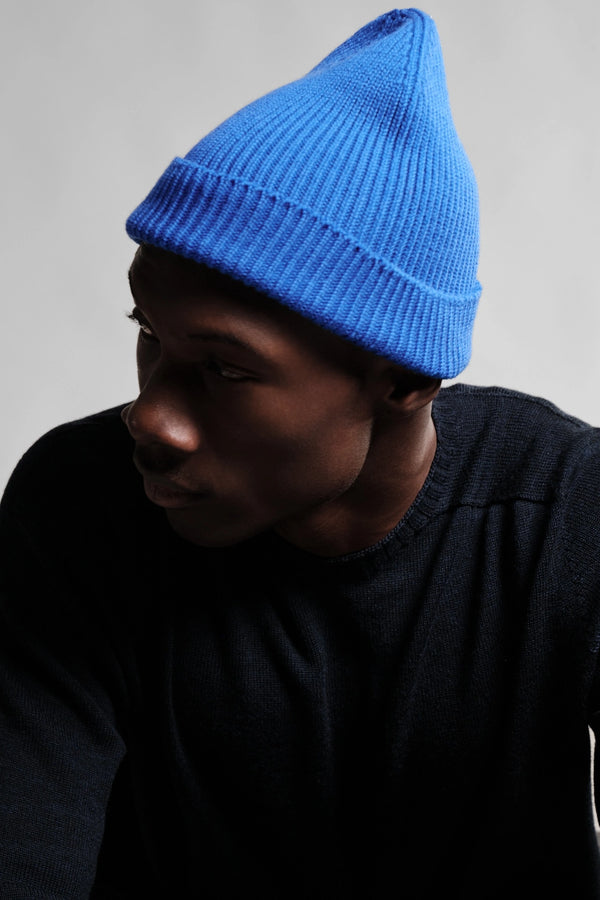 Bleu Roi