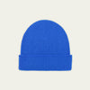 Bleu Roi