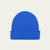 Bleu Roi