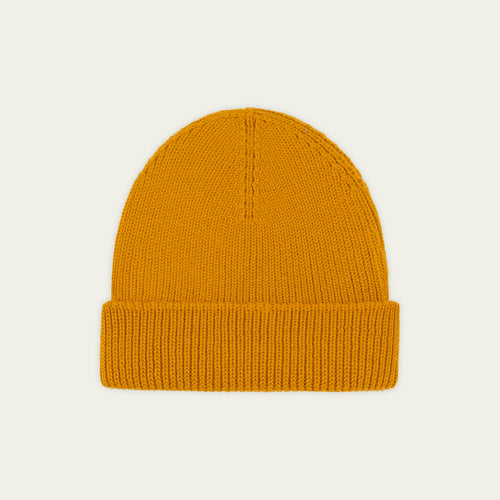 Ocre