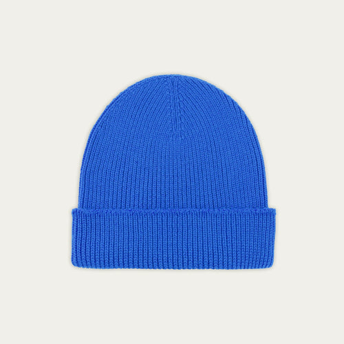 Bleu roi
