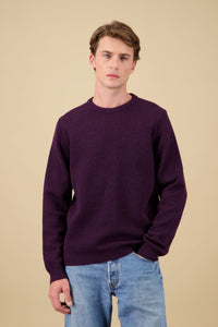 Youri round neck - Plum