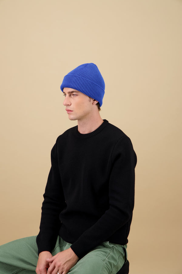Bleu Roi