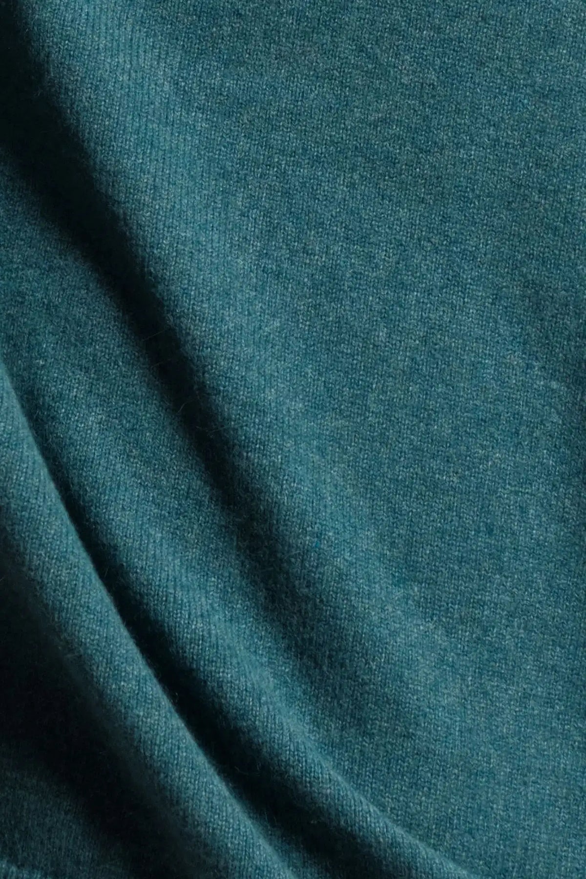 Bleu Shrub